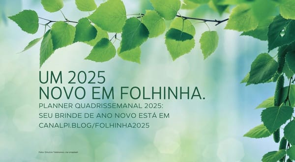 Folhinha quadrissemanal 2025 para você imprimir; cadastre-se e copie. É o planner do Canal Pi!