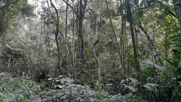 18mil m2 em Ribeirão Pires